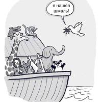 Сладкий Капитан @kapitan